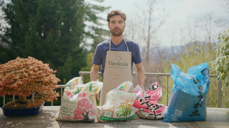 Introduzione al mondo dei bonsai