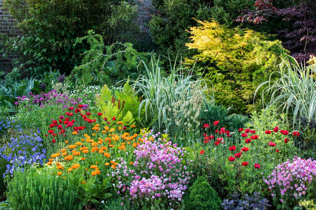 Un giardino inglese da scoprire