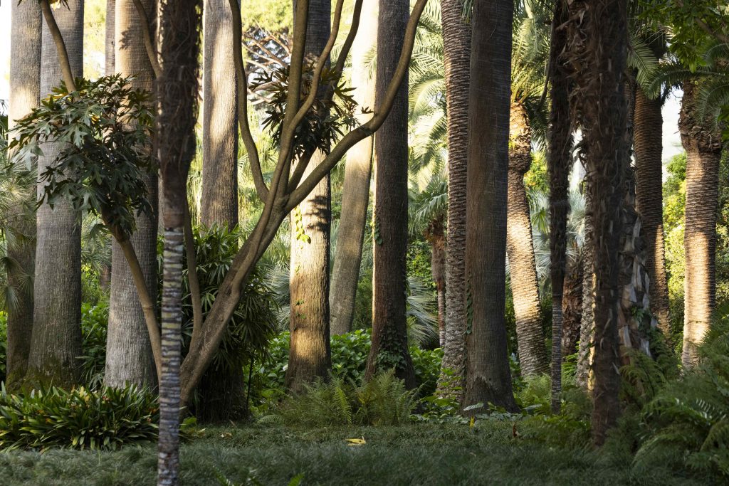 giardino dell'hotel parco dei principi