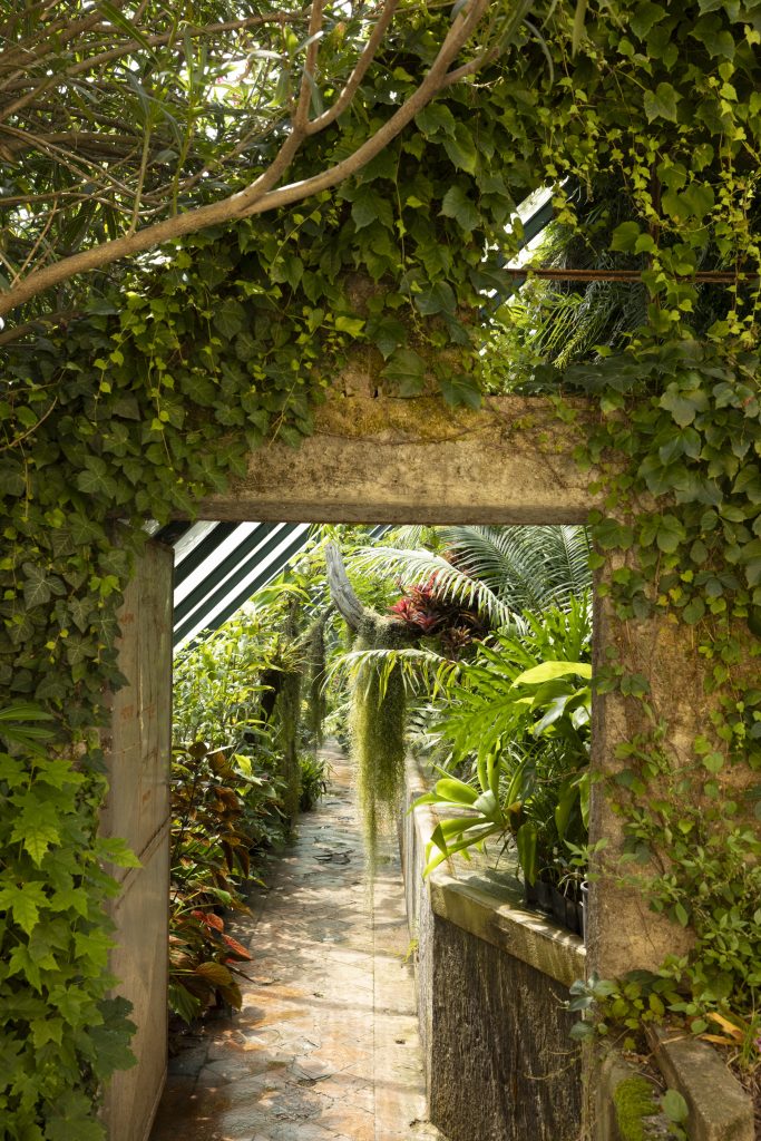 foresta tropicale in italia