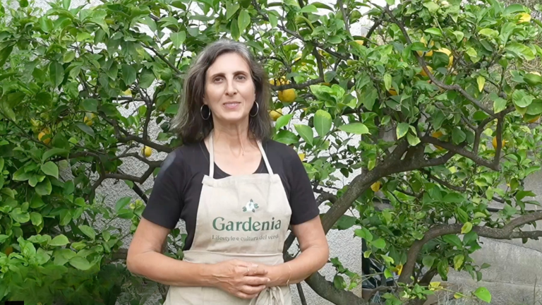 Cos'è un Dry Garden