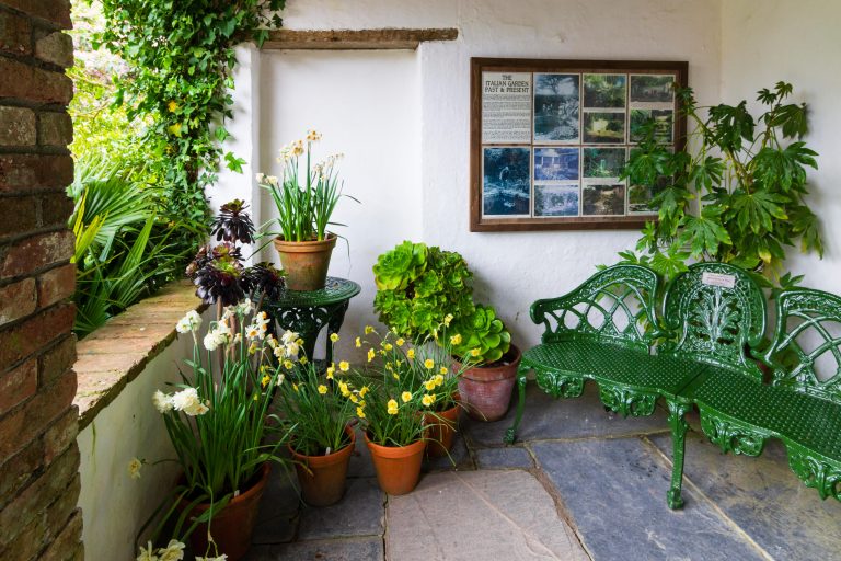 Bulbose in balcone