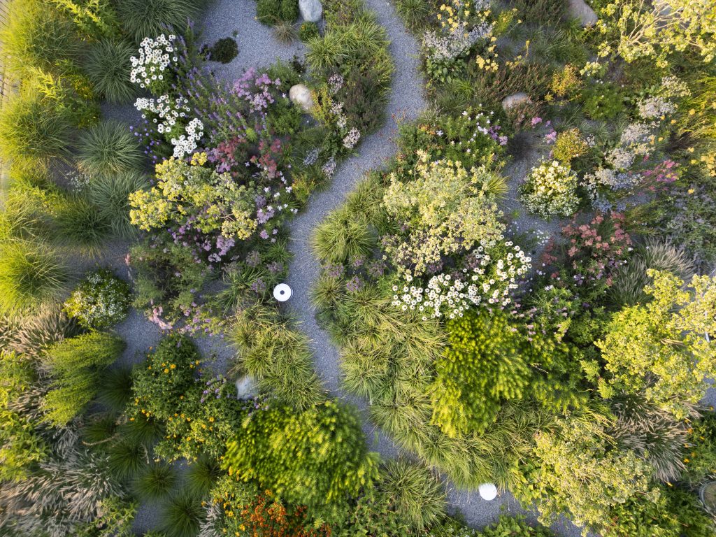giardino naturale graminacee ornamentali