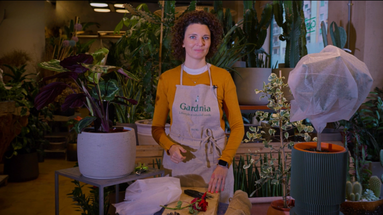 Come proteggere le painte dal freddo