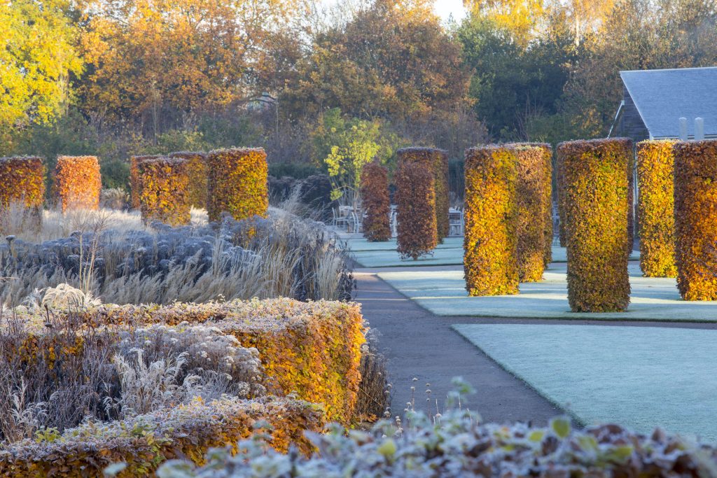 Il giardino di Stuart-Smith: Wisley, forma e naturalezza