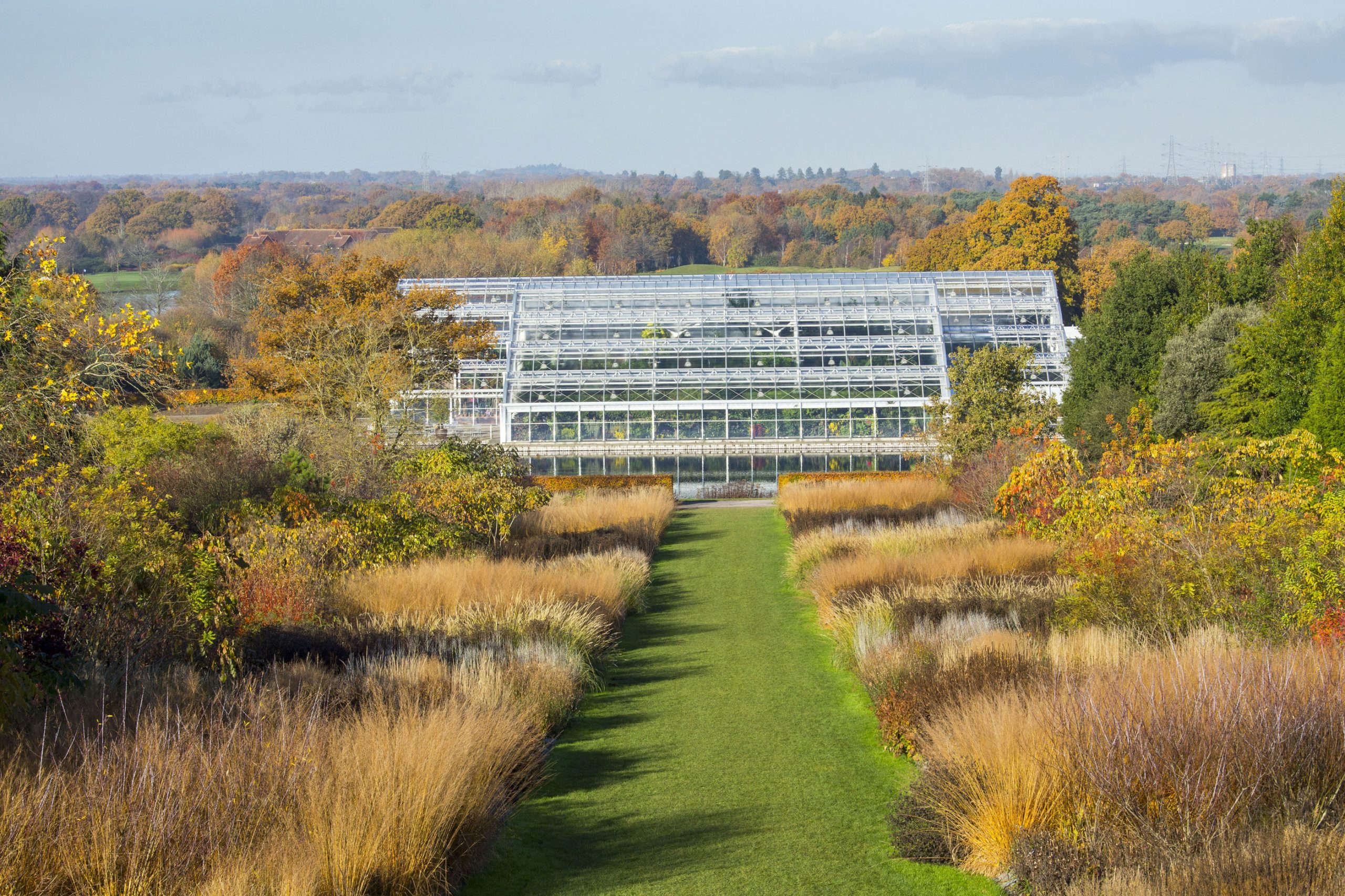 La serra del giardino di Wisley realizzata per ospitare piante dei climi tropicali, desertici 