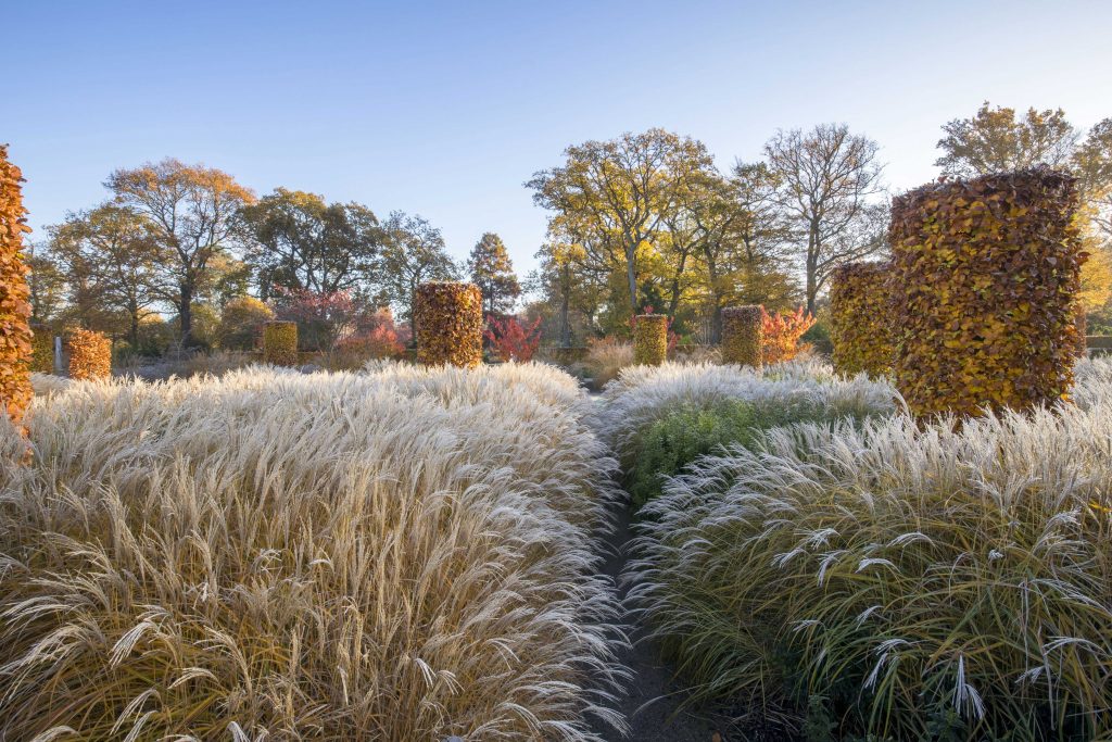 Il giardino di Wisley: il verede progettato