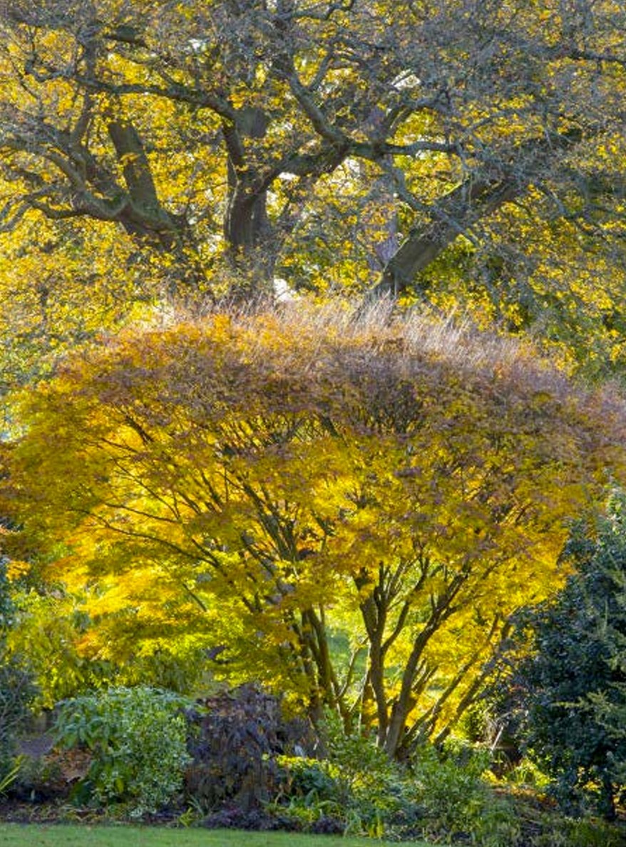 Wisley un giardino progettato per stupire