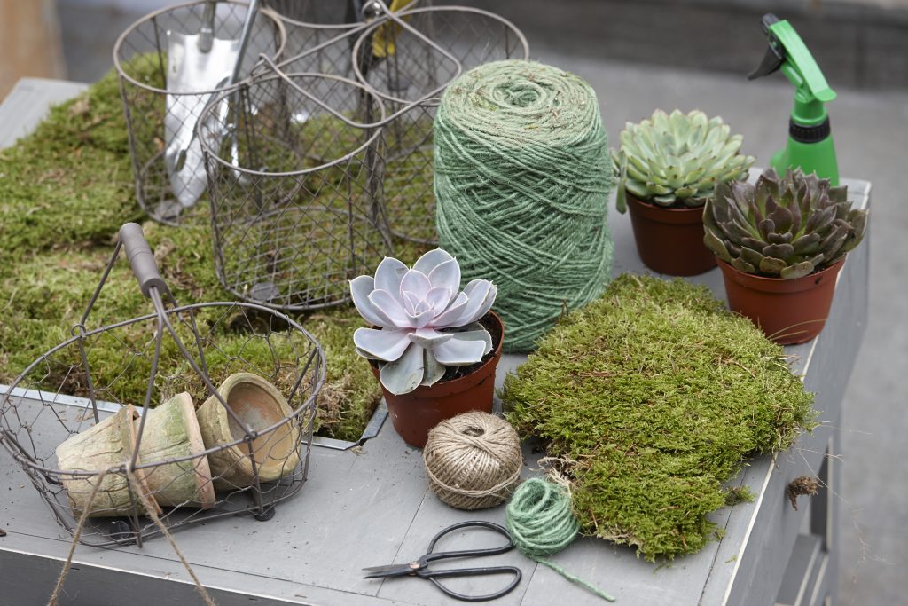 kokedama guida piante muschio