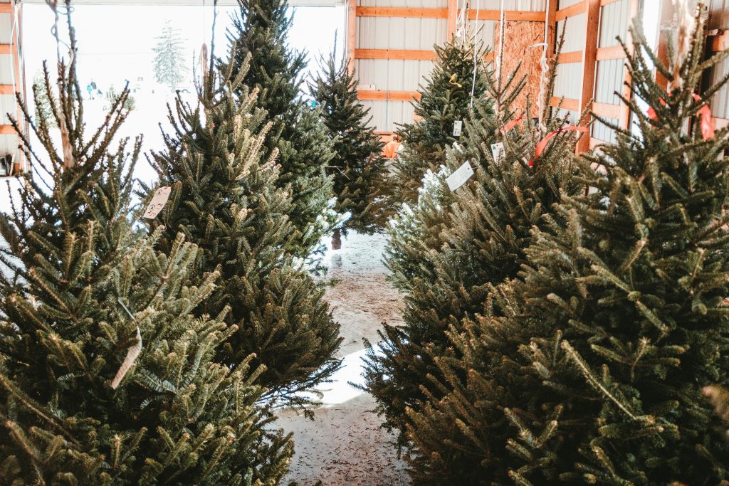 alberi di natale