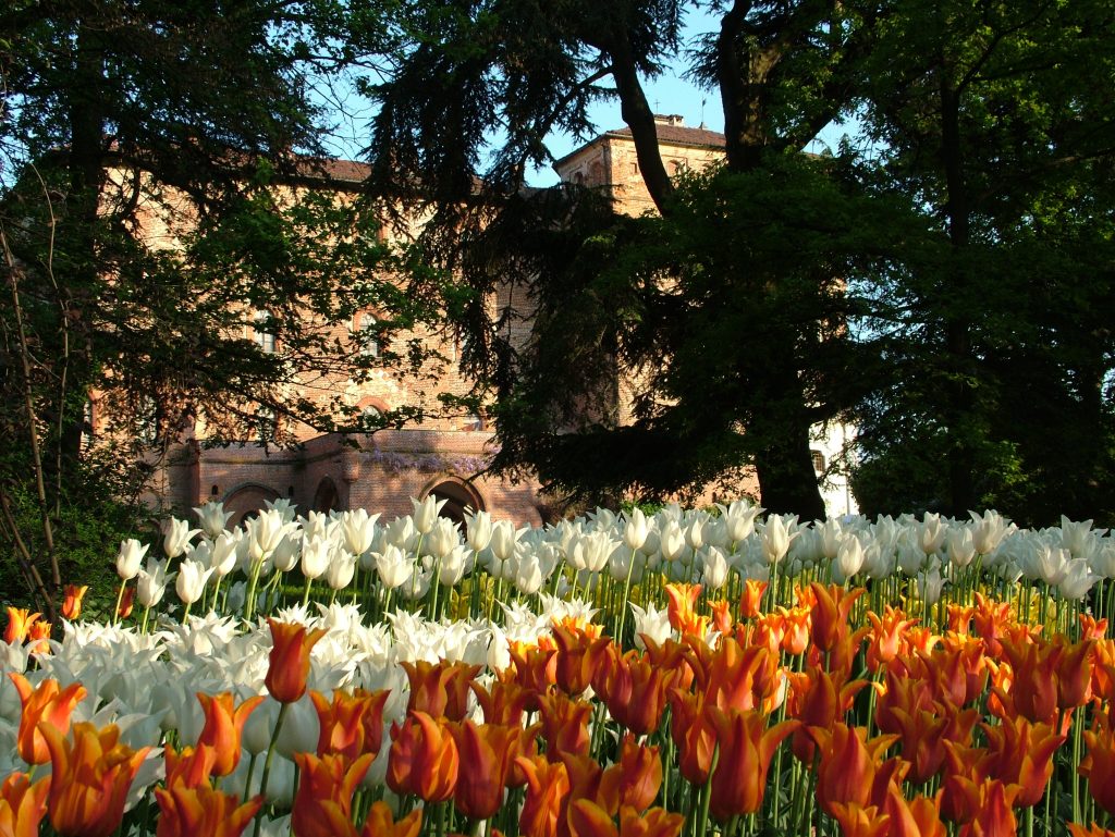 Dove vedere giarini di tulipani Castello di Pralormo Messer Tulipano