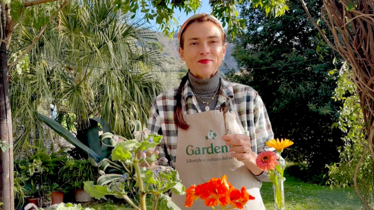 Coltivare fiori annuali partendo da seme