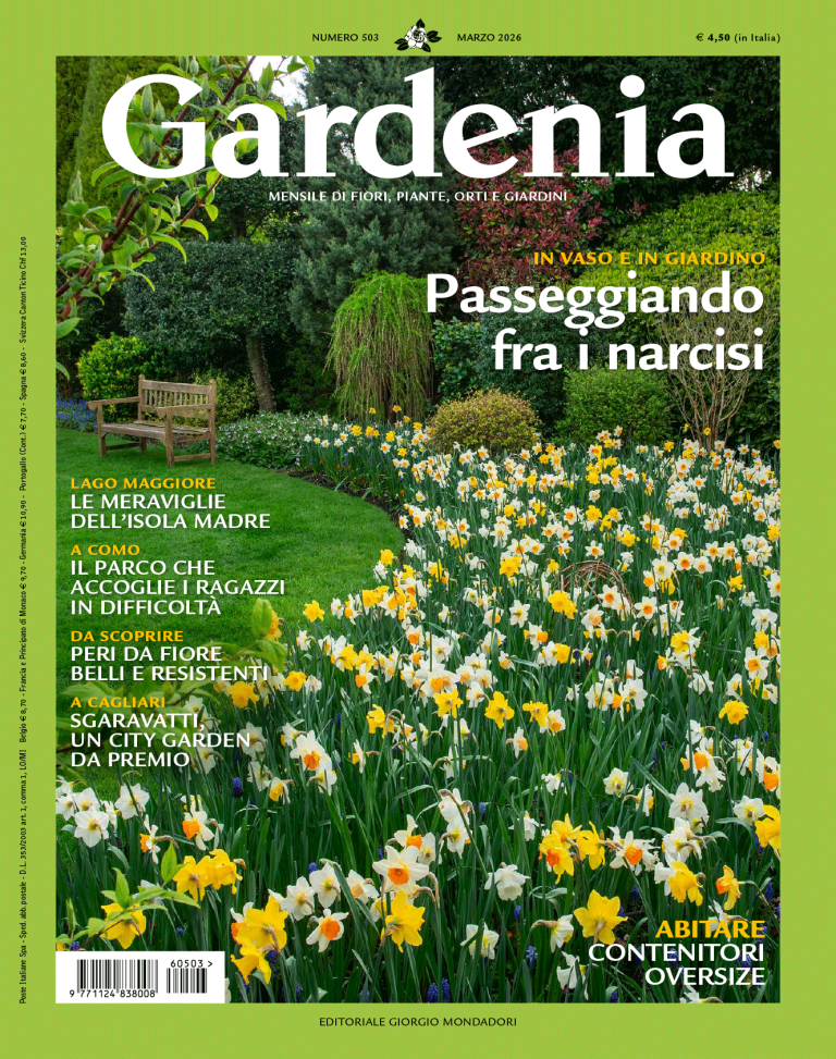 Copertina Gardenia Magazine (Ottobre 2025)
