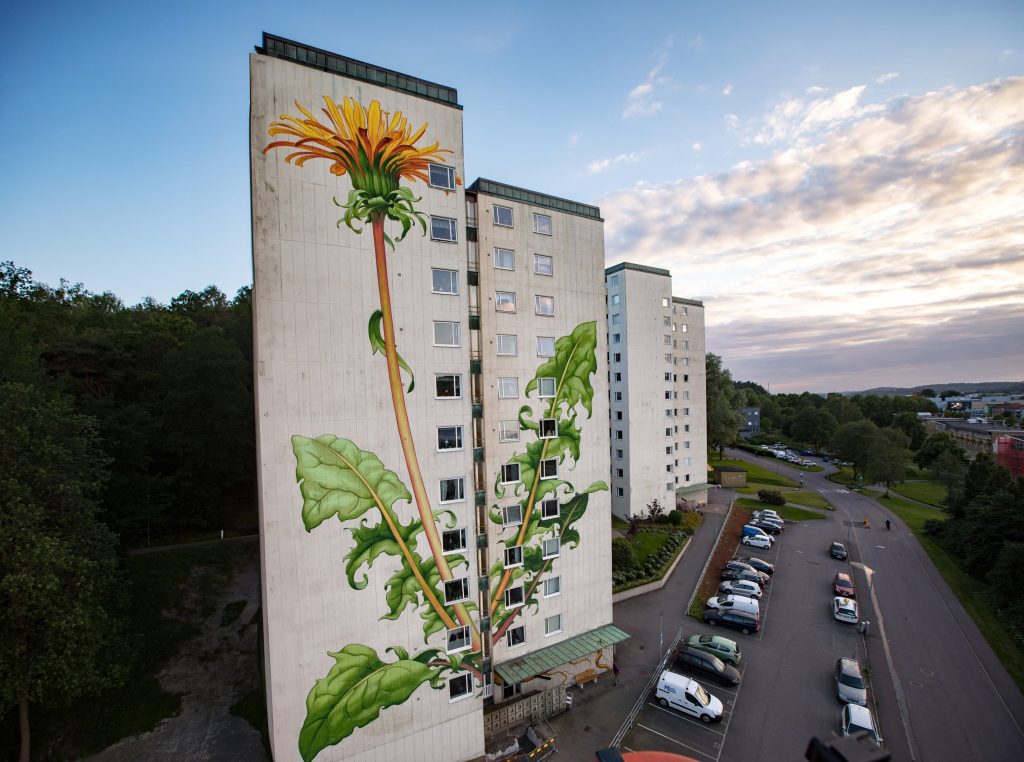 Murales Taraxacum officinale in Svezia