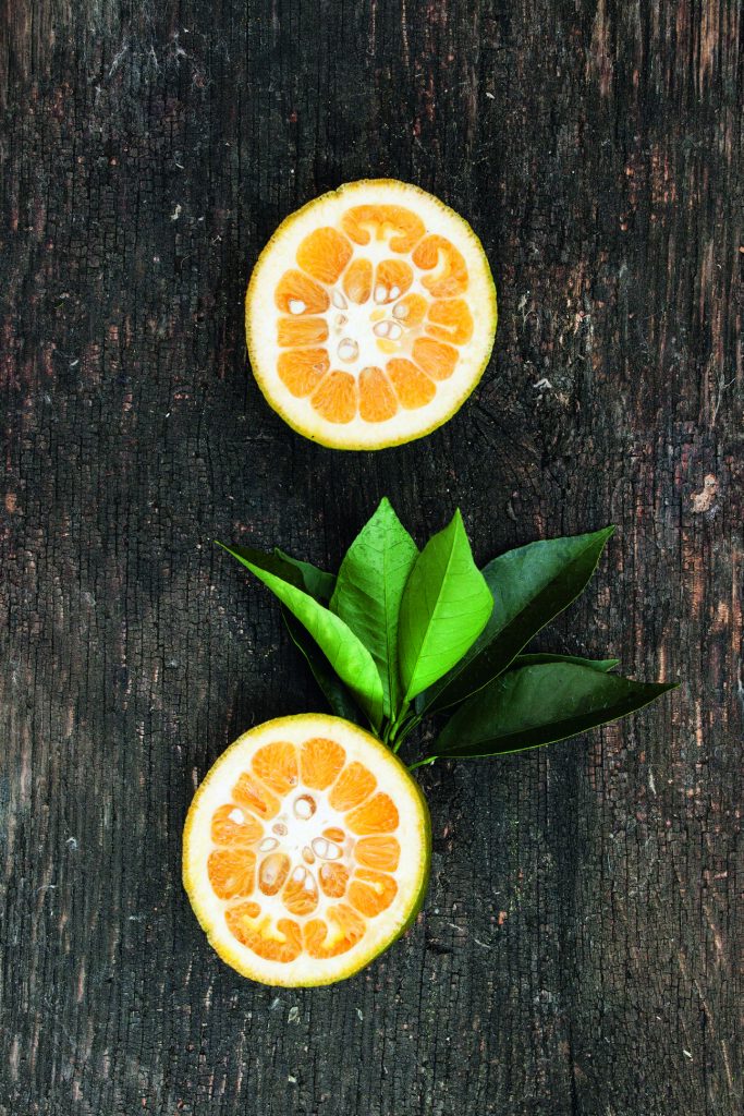 Citrus aurantium 'Canaliculata' 