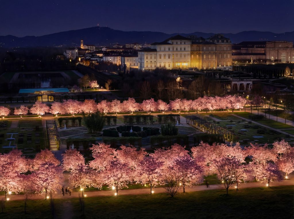 Visione notturna del giardino della Veneria Reale di Torino con i ciliegi in fiore
