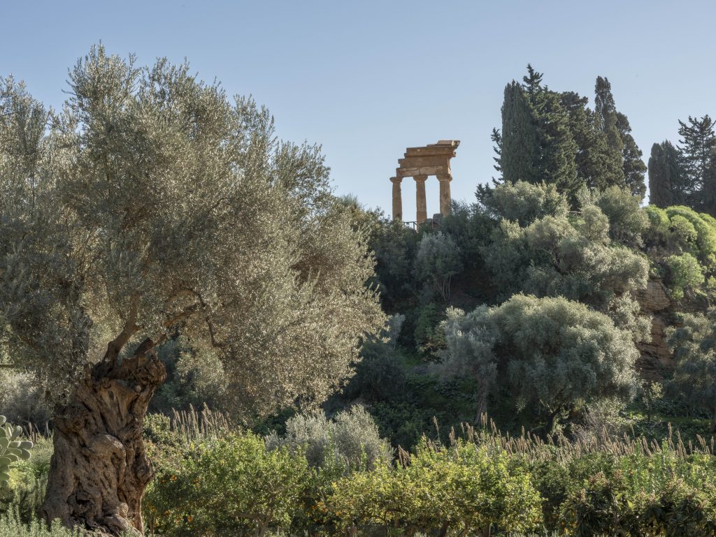 giardino della Kolymbethra Agrigento
