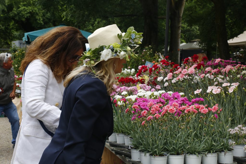 donna con cappello collezione di garofani a Orticola 2025