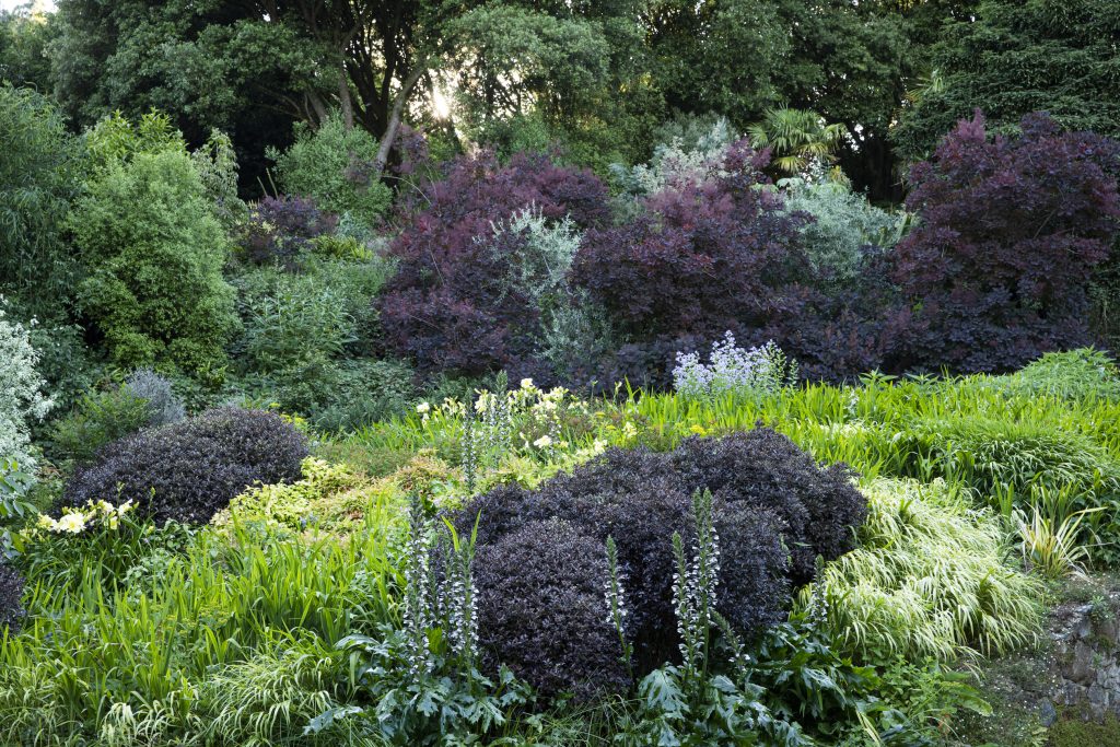 scorcio del giardino di Kerdalo