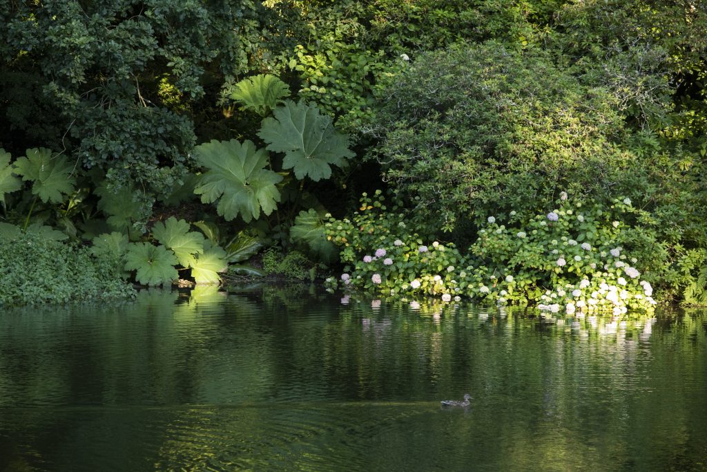 uno specchio d'acqua nel giardino di Kerdalo
