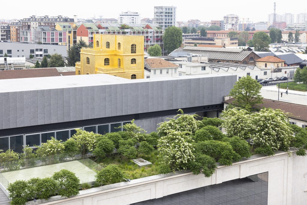 Fioritura bianca dei sambuchi sul tetto del Cinema Godard di Fondazione Prada