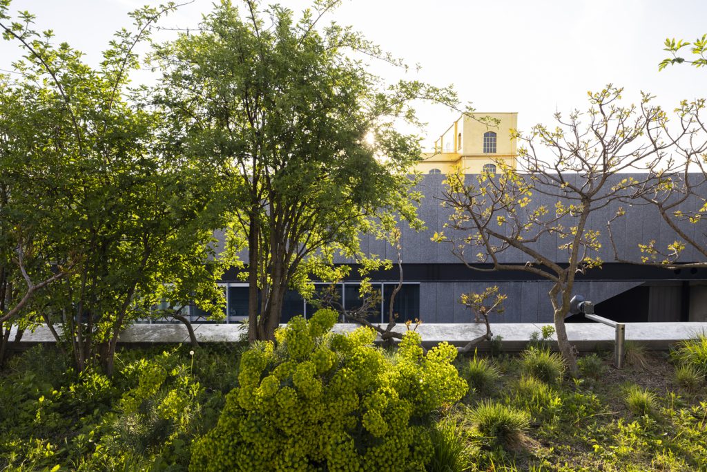 Scorcio del giardino di Fondazione Prada a Milano