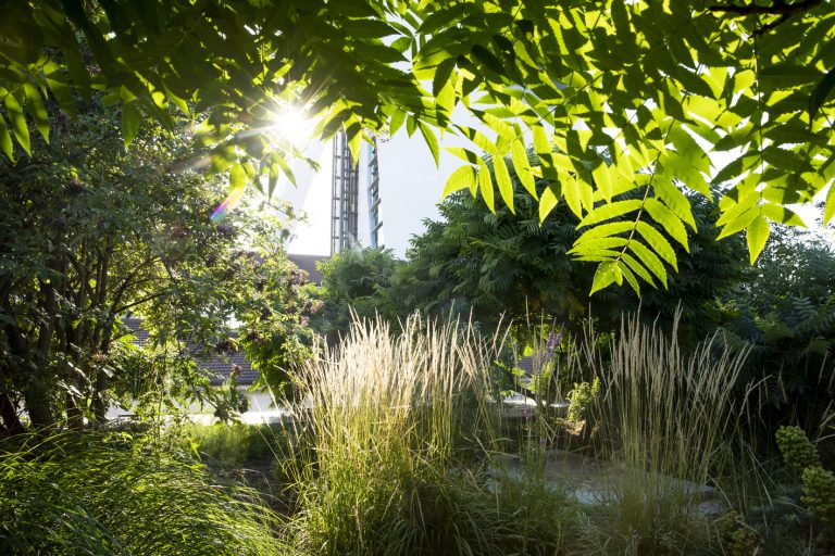 il tetto verde del Cinema Godard di Fondazione Prada