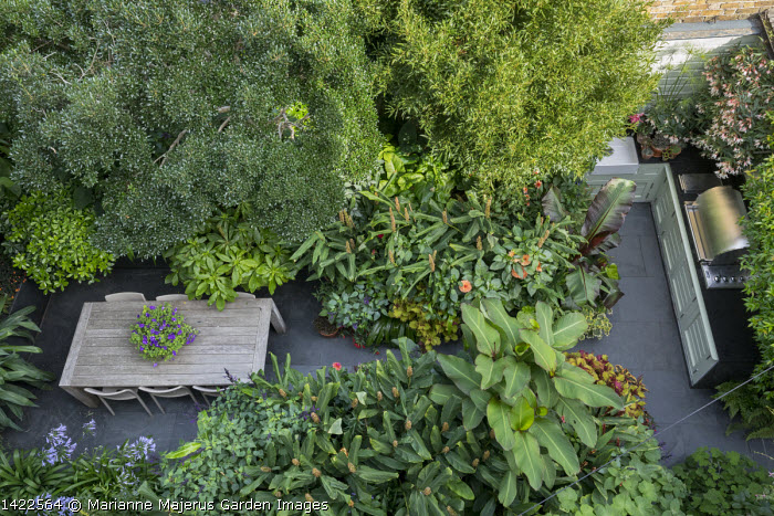 balcone progettato da Dan Cooper ricco di sempreverdi