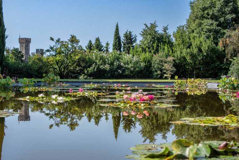 giardino acquatico parco Sigurtà