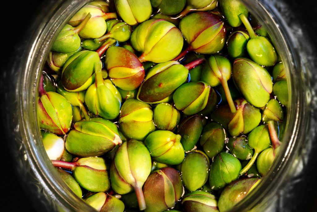 cucunci frutti cappero