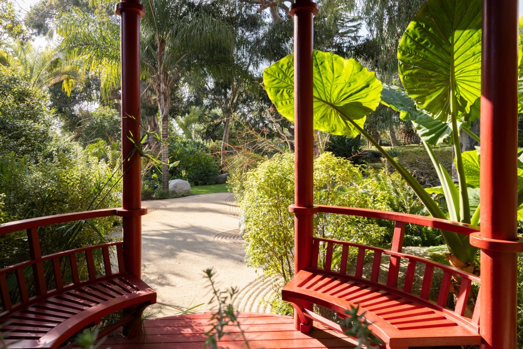 giardino asiatico