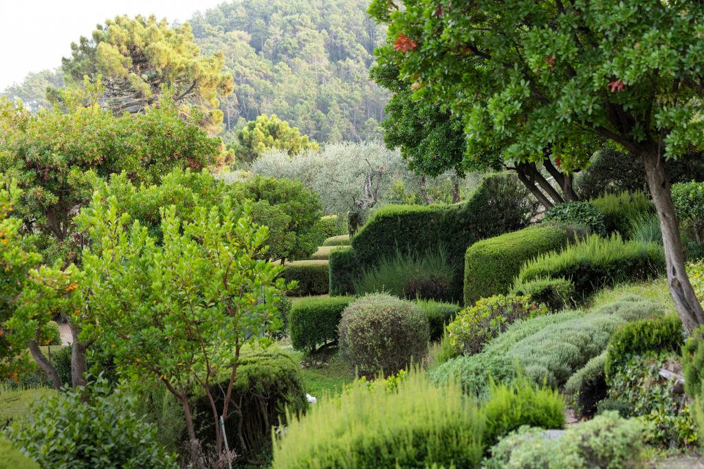 scorcio parco della Marrana