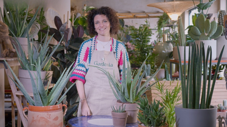 Come prenderti cura della tua Aloe