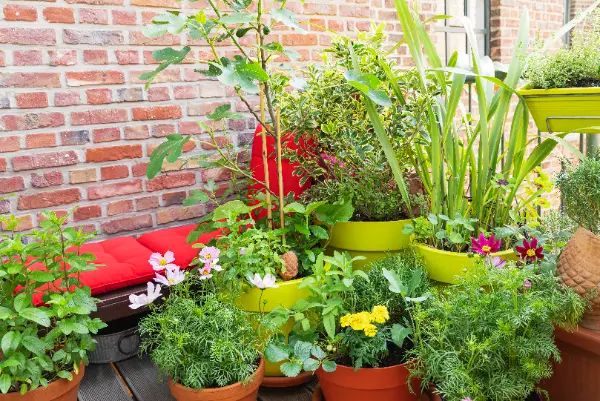Balcone fiorito con piante in vasi colorati, gerani e fiori misti davanti a muro di mattoni