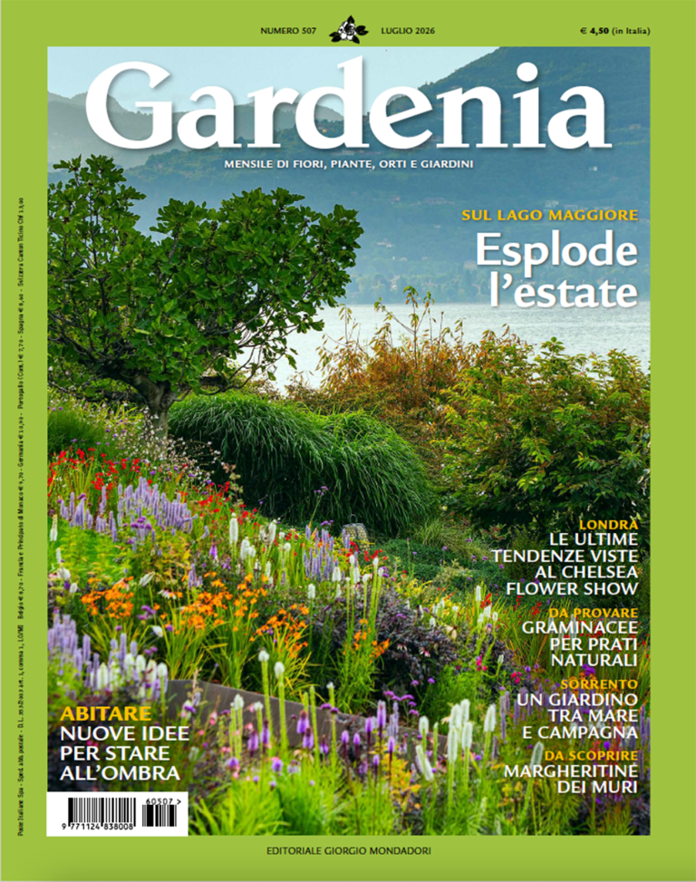 Copertina Gardenia Magazine