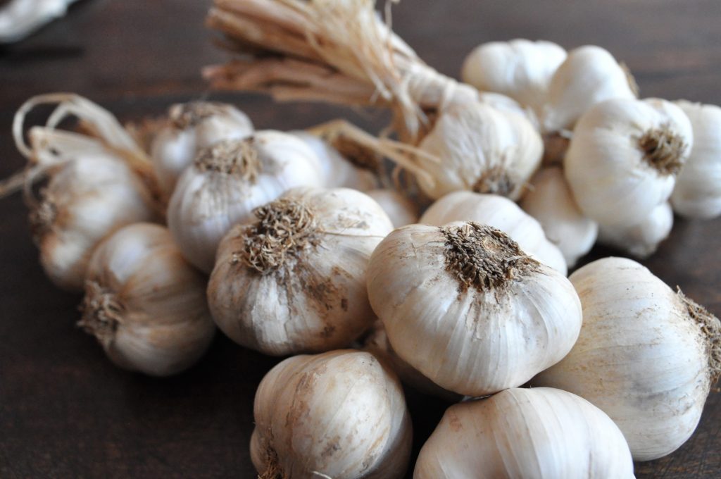 Aglio 'Bianco di Caraglio'
