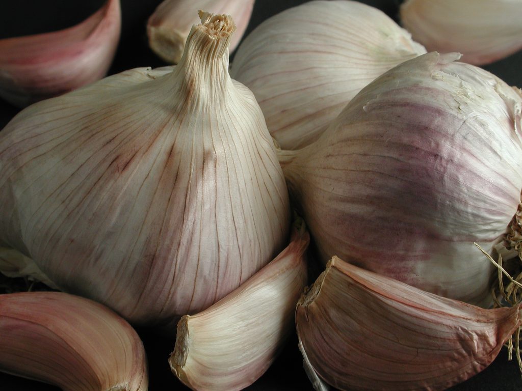 Aglio 'Rosso di Nubia'
