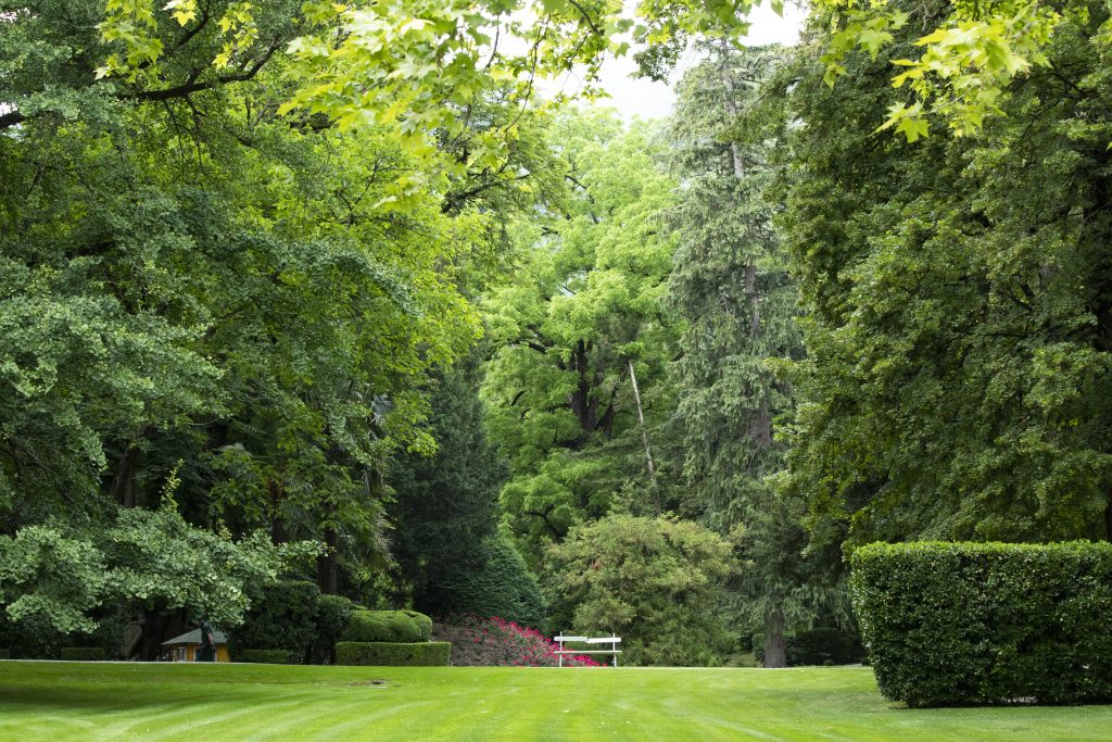 tappeti erbosi giardino Guerrieri Gonzaga
