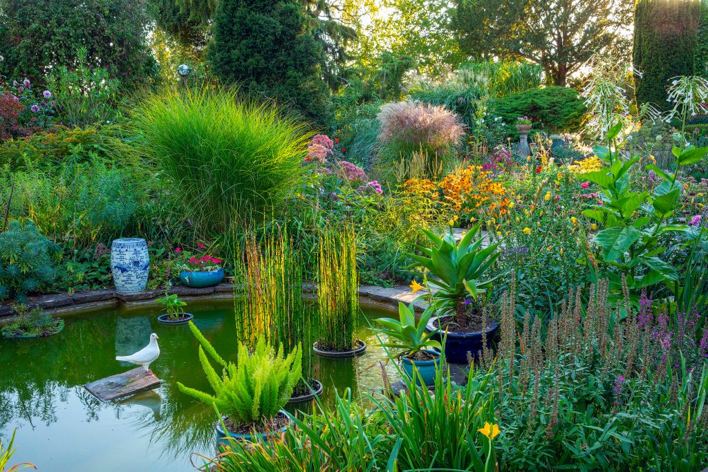 Laghetto giardino Karl Foerster