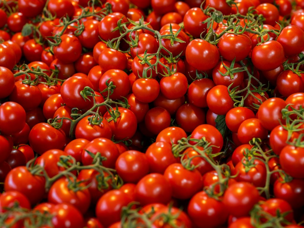 pomodori ciliegino rossi