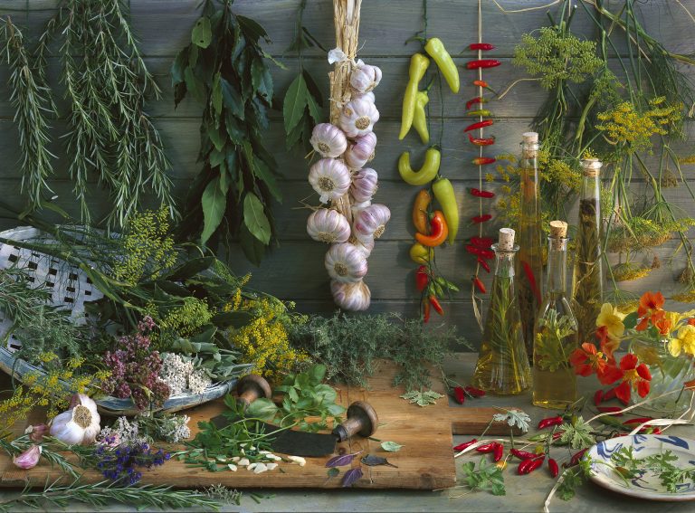 Agriculture - Still Life Arrangement Of Herbs, Spices And Flavored Oils: Rosemary, Bay, Garlic, Chili Peppers, Fennel, Cilantro, Basil, Sage, Thyme And Nasturtium Flowers, Studio. (Photo by: Maximilian Stock, Ltd. /Design Pics Editorial/Universal Images Group via Getty Images)