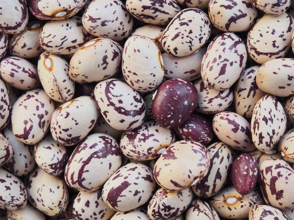 Fagioli Borlotti