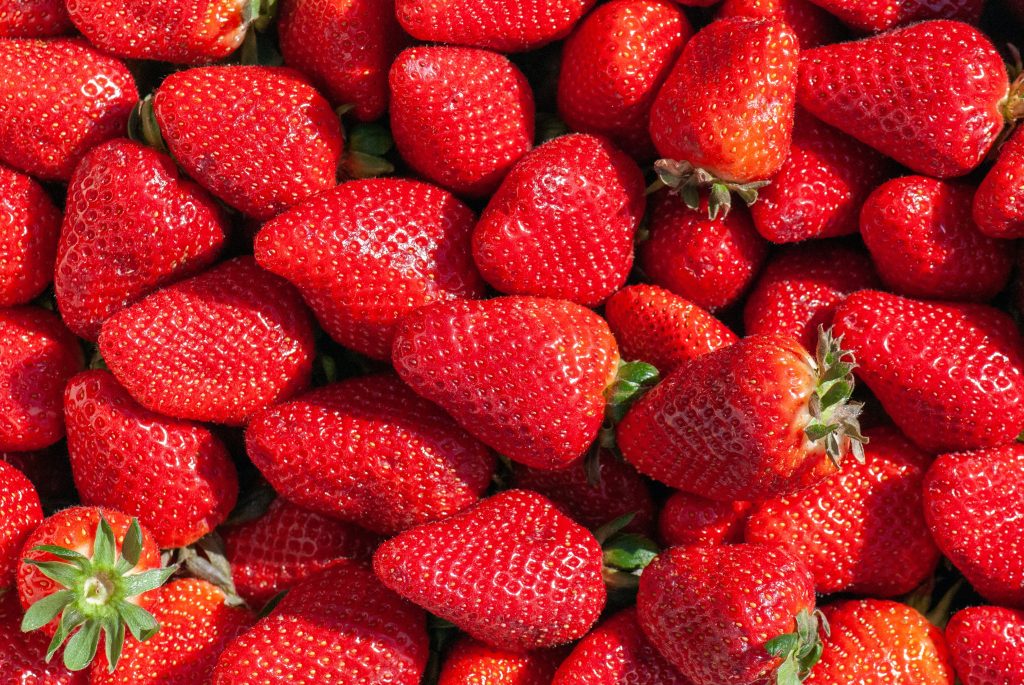 Fragole