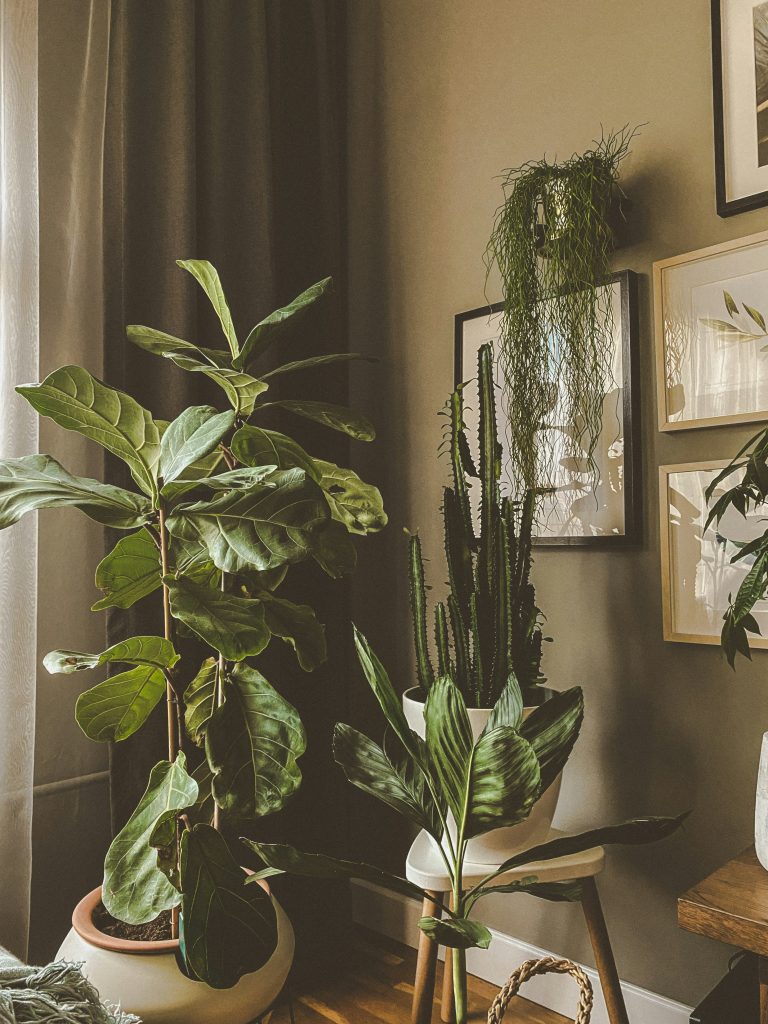 piante da interno e aria condizionata - unsplash -alp-duran-5MrddkW_Cbg-unsplash