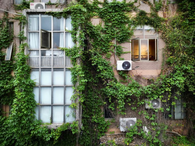 piante da interno e aria condizionata - unsplash -wei-shen-zMKbTASe3S4-unsplash