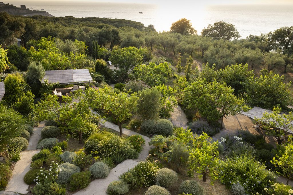 vista dall'alto del giardino giallo del Relais Regina Giovanna