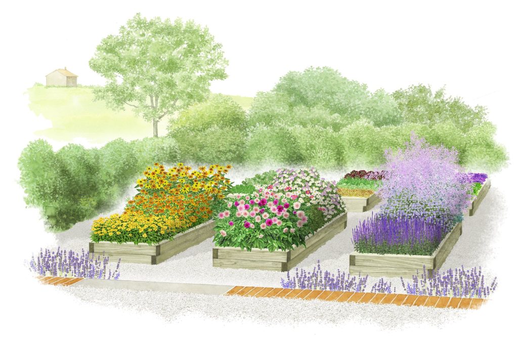 aiuola di fiori da taglio