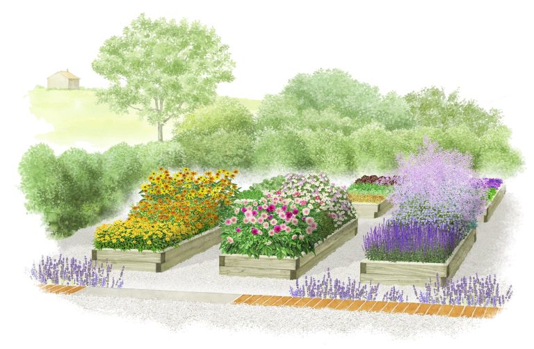 aiuola di fiori da taglio