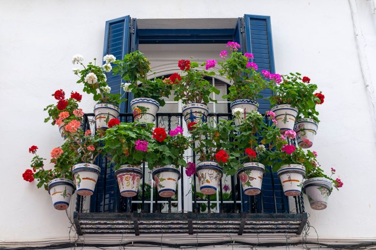 un balcone pieno di vasi di pelargoni con fiori di diversi colori