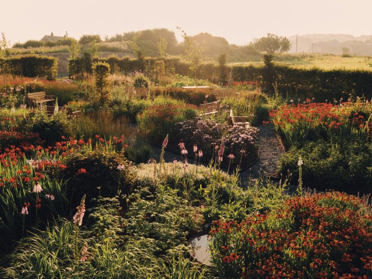 The Flimby Garden